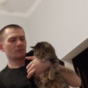  ,   , 38 ,   c 
