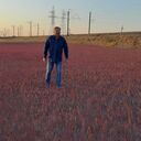 ���������� �����������, ���� ������� ����, 56 ���, ������������ ��� ������