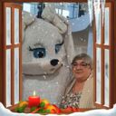 ���������� ���������, ���� ������� ������, 72 ����, ������������ ��� ������, ����� � ���������