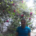  ,   Alim, 50 ,   