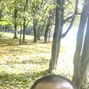 ���������� �������, ���� ������� ������, 45 ���, ������������ ��� ������, ����� � ���������