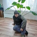  ,   , 53 ,   , 
