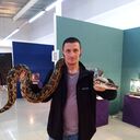  ,   , 41 ,     , c , 