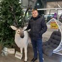 ���������� �����������, ���� ������� ������, 46 ���, ������������ ��� ������, ����� � ���������