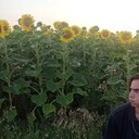 ���������� ���������, ���� ����� Alexey, 21 ���, ������������ 