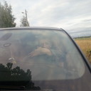 ���������� ������, ���� ������� ���������, 39 ���, ������������ ��� ������, ����� � ���������, c�������� ���������