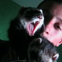  ,   F0zer, 33 ,  