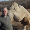  ,   , 57 ,   