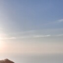 ���������� �����������, ���� ������� �����, 29 ���, ������������ ��� ������, ����� � ���������, c�������� ���������