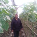 ���������� ������, ���� ������� ������, 37 ���, ������������ 