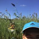 ���������� �����-���������, ���� ������� ������, 37 ���, ������������ ��� c�������� ���������