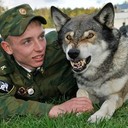  -,   , 33 ,   ,   , c 