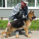 ���������� ������, ���� ������� �����, 62 ����, ������������ ��� ������, ����� � ���������, c�������� ���������