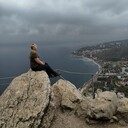  ,   , 40 ,   ,   , c 