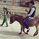 ���������� ������, ���� ������� �����, 33 ����, ������������ ��� ������