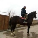 ���������� ����������, ���� ������� ����������, 44 ����, ������������ ��� ������, ����� � ���������