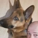  ,   , 28 ,   c 