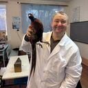 ���������� �����, ���� ������� ��������, 40 ���, ������������ ��� ������, ����� � ���������, c�������� ���������, ���������