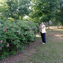 ,   , 74 ,   c 