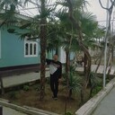  ,   , 44 ,  