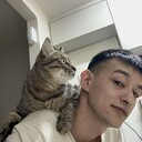  ,   , 33 ,   