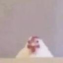  ,   , 19 ,   ,   , c , 