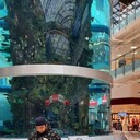 ���������� ������, ���� ������� ����, 29 ���, ������������ ��� c�������� ���������