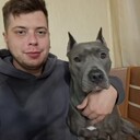  ,   Mihonday, 28 ,   ,   , c 