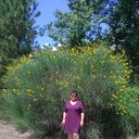  ,   , 68 ,   ,   , c 