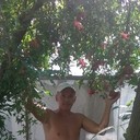 ���������� �������, ���� ������� ����, 50 ���, ������������ ��� ������, ����� � ���������, c�������� ���������