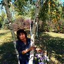  ,   , 52 ,  