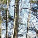 ���������� �����, ���� ������� �����, 45 ���, ������������ ��� ������, ����� � ���������