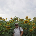 ���������� ������, ���� ������� ����, 54 ����, ������������ ��� ����� � ���������, c�������� ���������