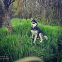 ���������� �������, ���� ������� ������, 27 ���, ������������ ��� ������, ����� � ���������, c�������� ���������, ���������