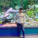 ���������� �����������, ���� ������� ������, 29 ���, ������������ ��� ������, ����� � ���������, c�������� ���������, ���������