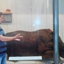  ,   , 54 ,   , 