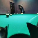  ,   Kirill, 25 ,     , c 