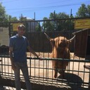 ���������� ������ ��������, ���� ������� ����, 36 ���, ������������ ��� ������, ����� � ���������, c�������� ���������, ���������