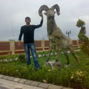  ,   Aslan, 40 ,   