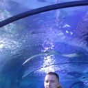  ,   Evgen, 43 ,     , c 