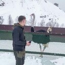 ���������� ���, ���� ������� ������, 30 ���, ������������ ��� ������, ����� � ���������, c�������� ���������, ���������