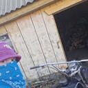 ���������� ������, ���� ������� �����, 44 ����, ������������ ��� ������, ����� � ���������, c�������� ���������, ���������