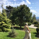 ���������� ������������, ���� ������� ����, 44 ����, ������������ 