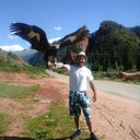 ���������� ������, ���� ������� �����, 44 ����, ������������ ��� ���������