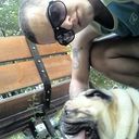  ,   , 33 ,   