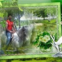 ,   , 55 ,   ,   , c 