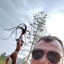  ,   , 41 ,   ,   