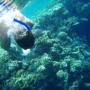  Praha,   Skyskreaper, 37 ,   ,   , c 