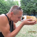 ���������� ������, ���� ������� �����, 36 ���, ������������ ��� ������, ����� � ���������, c�������� ���������