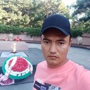 ���������� �����������, ���� ������� �������, 33 ����, ������������ ��� ������, ����� � ���������